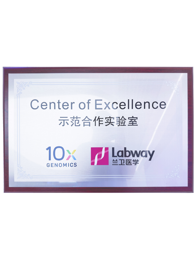 03 ʱ10Xģʵ.png