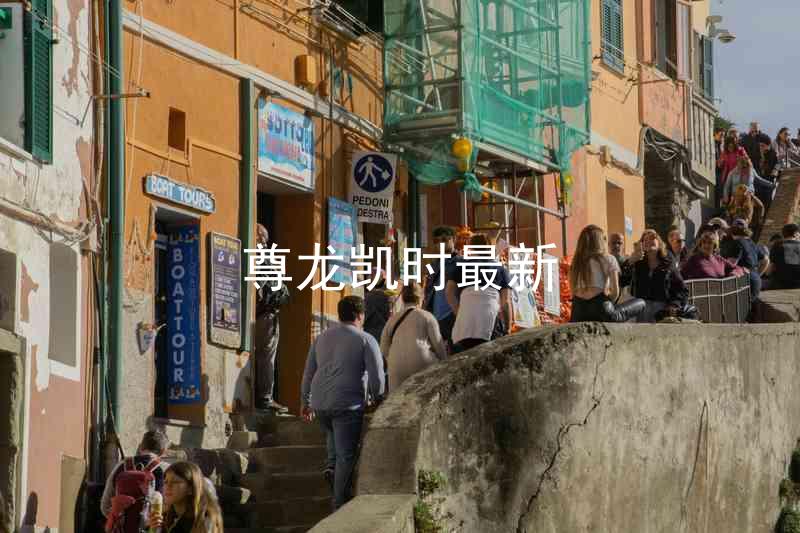 尊龙凯时最新