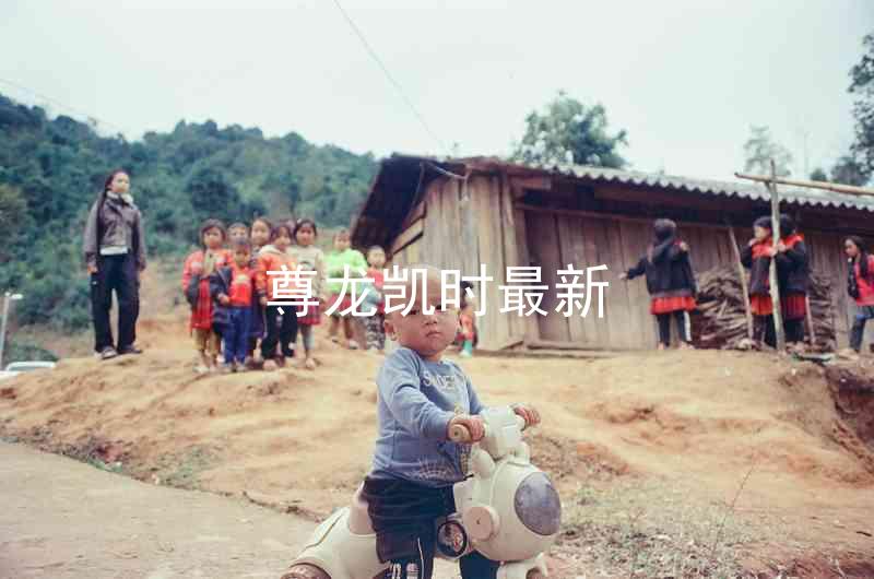 尊龙凯时最新